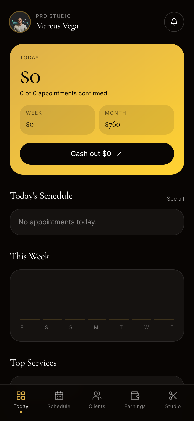 Professional dashboard with today's earnings and schedule